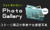フォトギャラリー